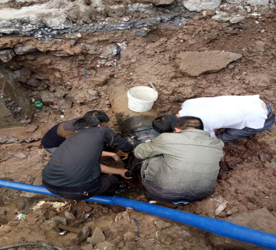 反應(yīng)迅速 組織有力