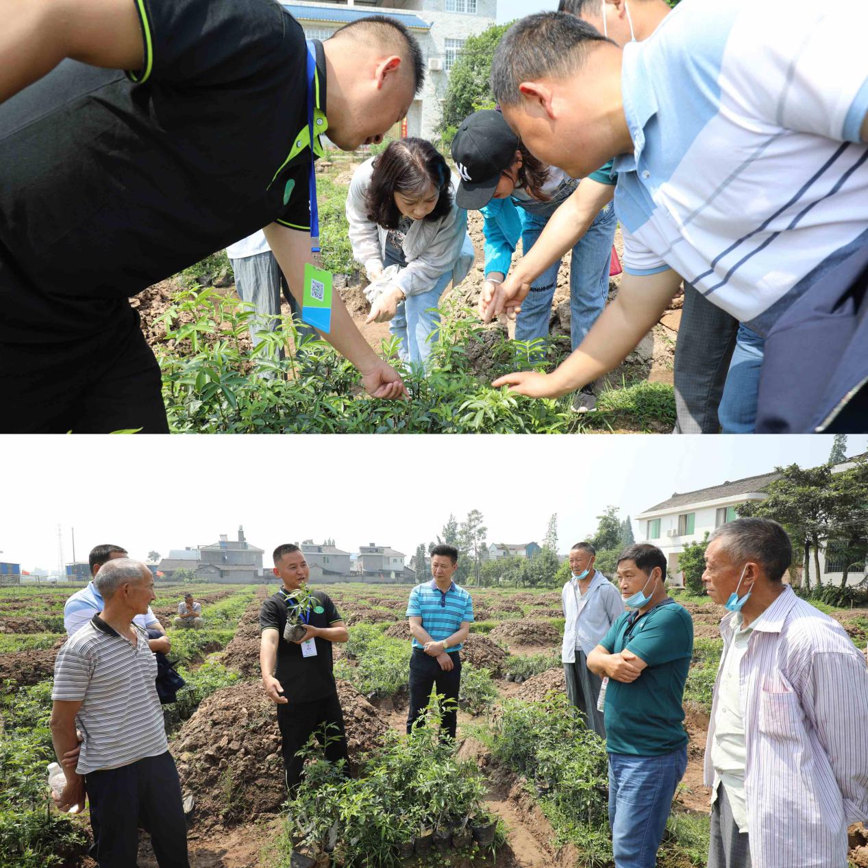 精準(zhǔn)扶貧拔“窮根” 授人以漁種“富根”