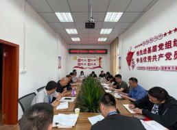 公司三支部召開黨員大會暨“形式主義、官僚主義”集中整治工作會