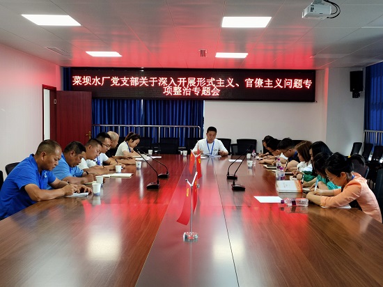 菜壩水廠黨支部召開關(guān)于深入開展形式主義、官僚主義問題專項整治專題會