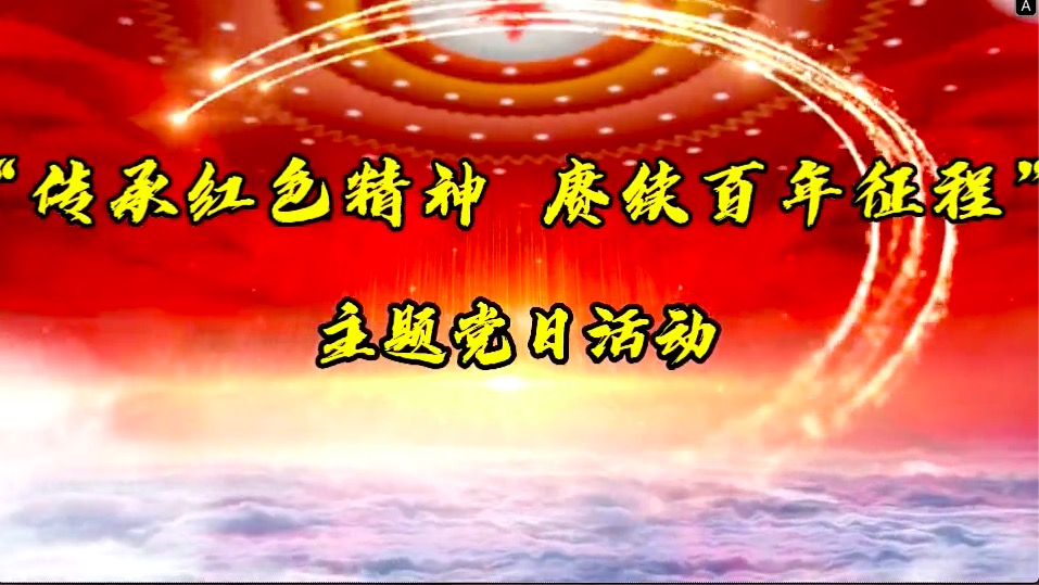 傳承紅色精神，賡續(xù)百年征程-共產(chǎn)黨員服務(wù)大隊(duì)主題黨日活動(dòng)