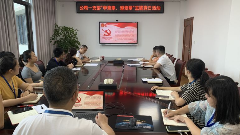 清源水務(wù)公司黨委組織開展“學(xué)黨章、遵黨章”系列主題黨日活動